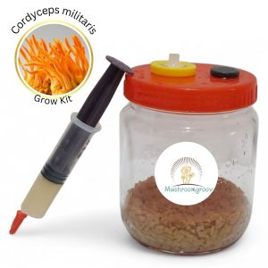 Grow kit - brain booster