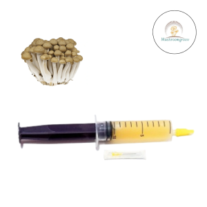 Premium Beech 10 ml Liquid Culture – Fast-Colonizing Strain