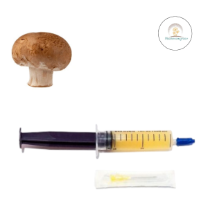 Premium Chestnut 10 ml Liquid Culture – Fast-Colonizing Strain