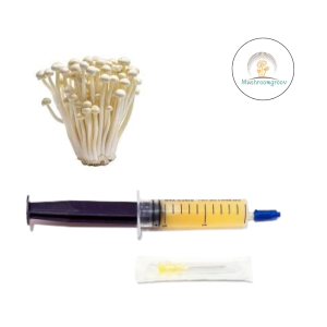 Premium Enoki 10 ml Liquid Culture – Fast-Colonizing Strain