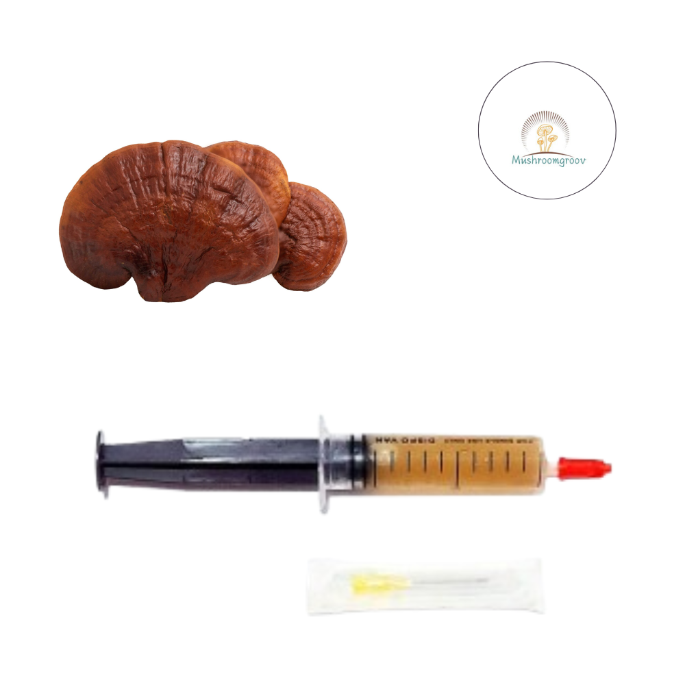 Premium Reishi 10 ml Liquid Culture – Fast-Colonizing Strain