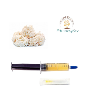Premium Cauliflower 10 ml Liquid Culture – Fast-Colonizing Strain