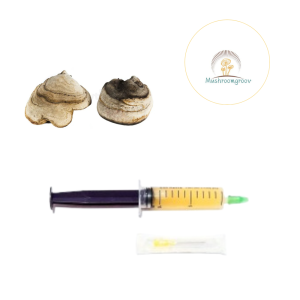 Premium Chaga 10 ml Liquid Culture – Fast-Colonizing Strain