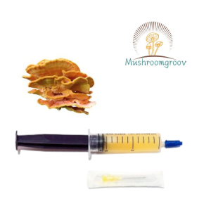 Chicken of the Woods 10ml  Liquid Culture – Fast-Colonizing Strain