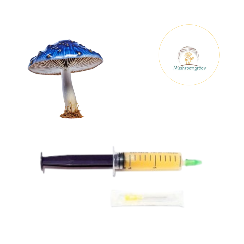 Premium Bioluminescent Liquid Culture – Fast-Colonizing Strain